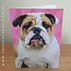 Bulldog Jazzy Greeting Card
